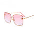 Queen Bee Sunglasses